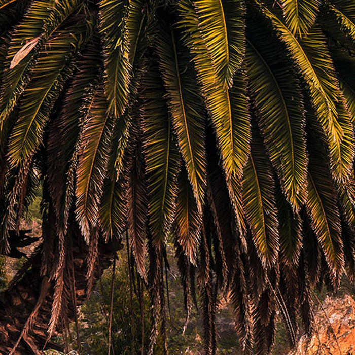Komar | Vlies Fototapete | Paradise Falls | Größe 200 x 100 cm