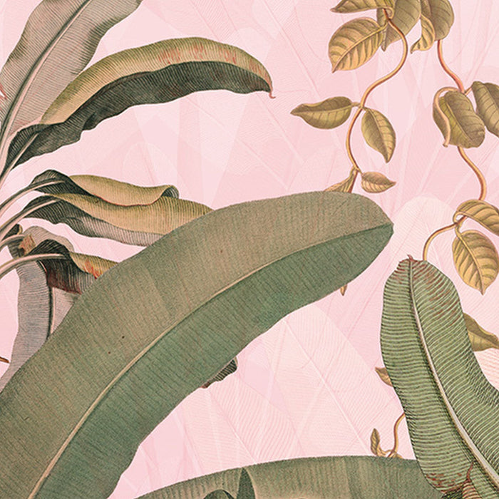 Vlies Fototapete | Plantation | Größe 350 x 270 cm