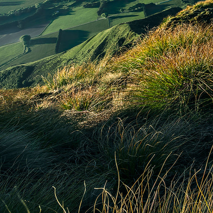 Vlies Fototapete | Green Ridges  | Größe 450 x 280 cm