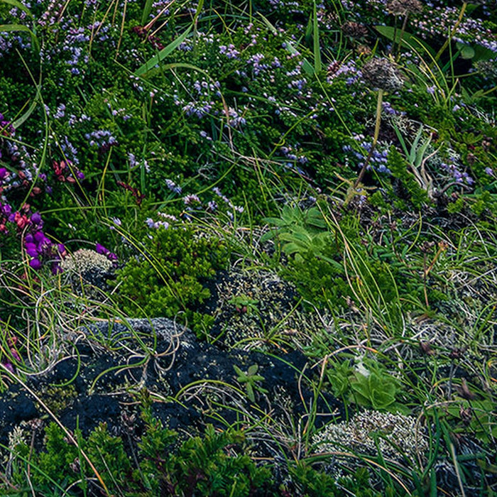 Vlies Fototapete | The Blue Bay | Größe 200 x 250 cm