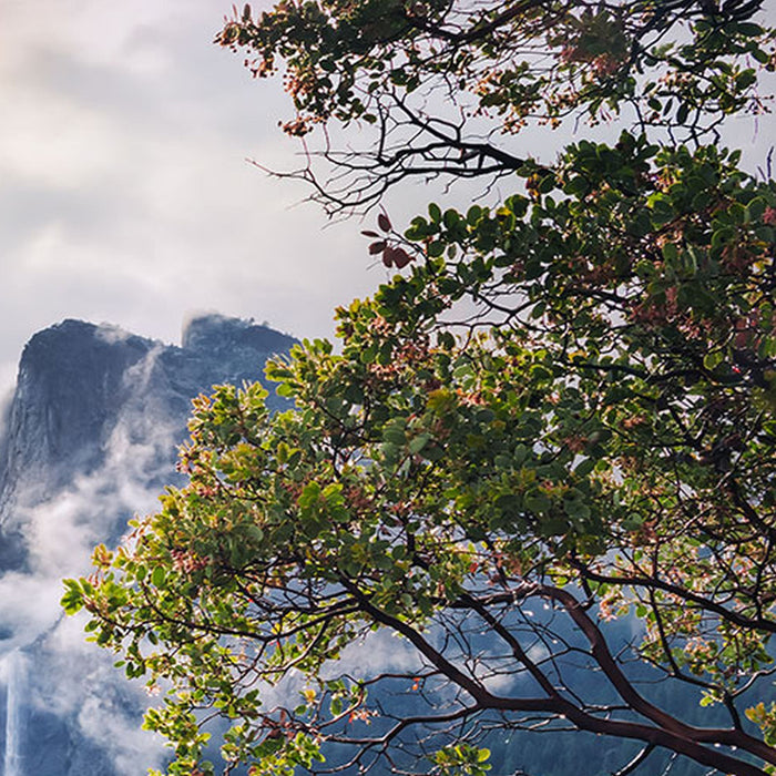 Vlies Fototapete | Unique Paradise | Größe 200 x 100 cm