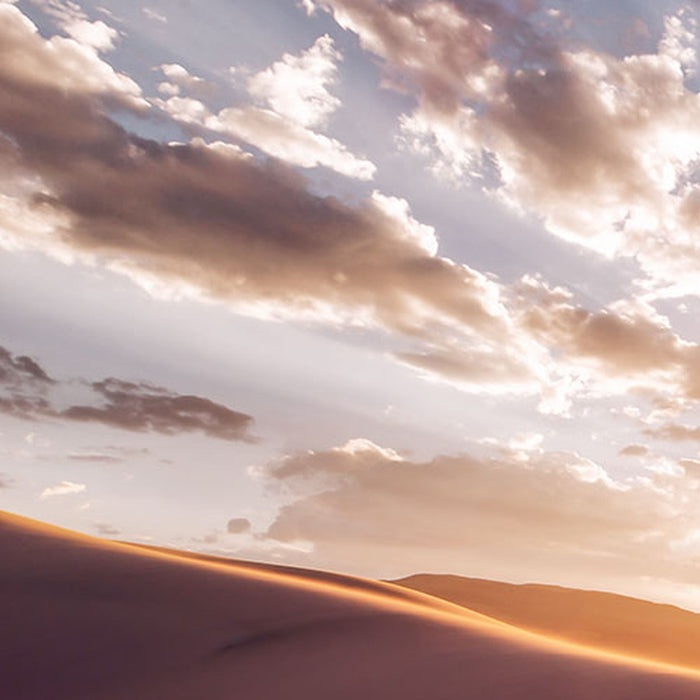 Vlies Fototapete | Gently Touched | Größe 400 x 250 cm