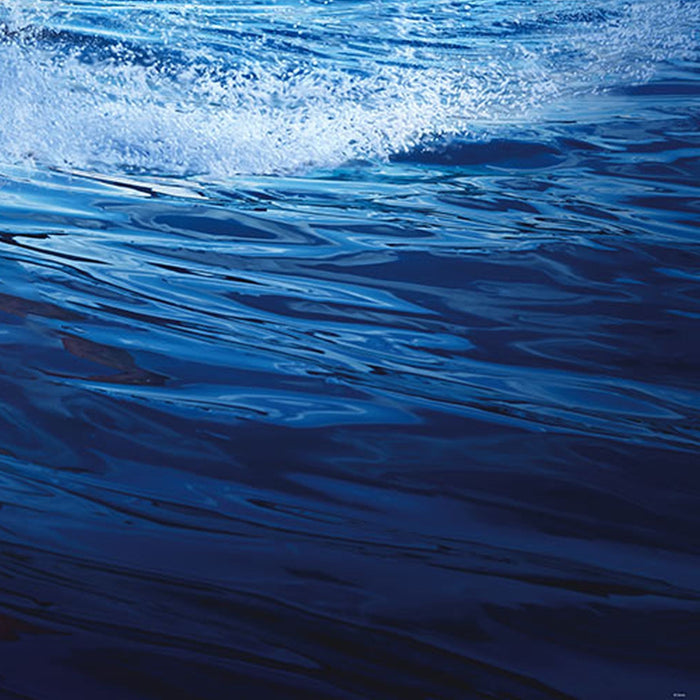 Vlies Fototapete | Moana Ride the Wave | Größe 200 x 280 cm