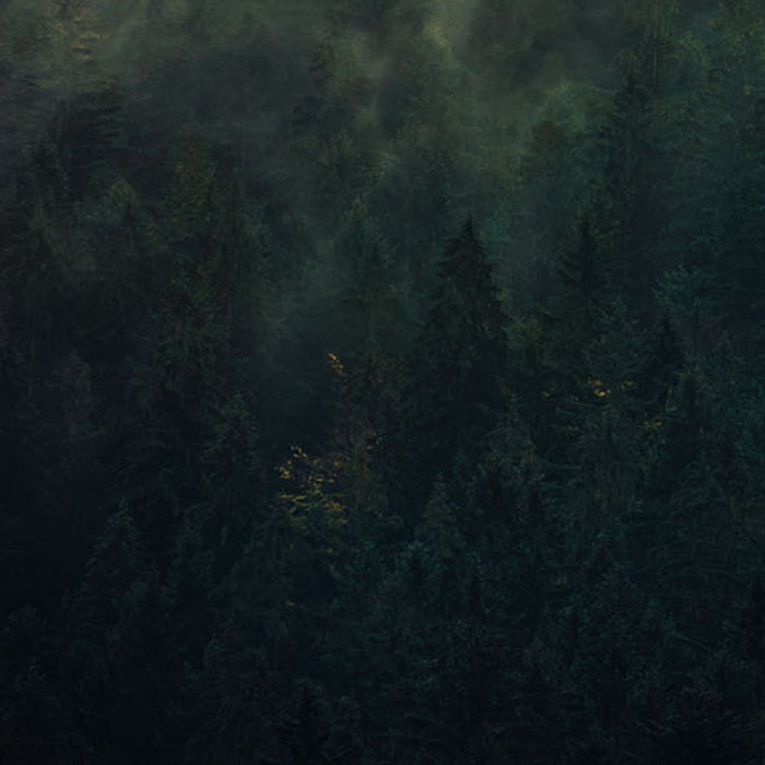 Vlies Fototapete | Tales of the Carpathians | Größe 300 x 200 cm