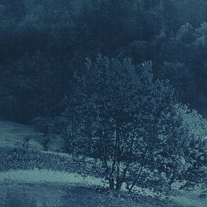 Vlies Fototapete | Twilight | Größe 400 x 250 cm