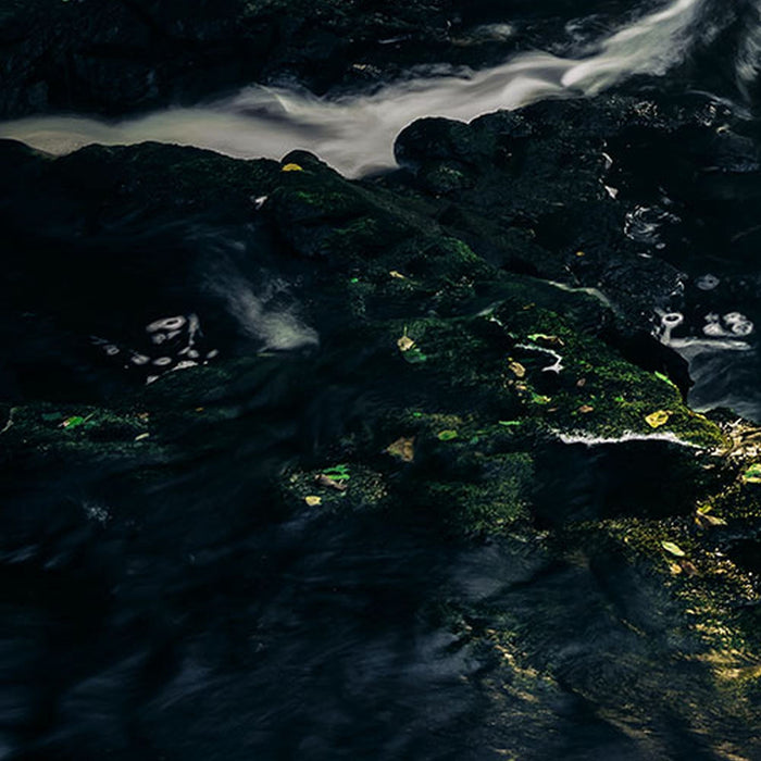 Vlies Fototapete | Divine | Größe 200 x 250 cm