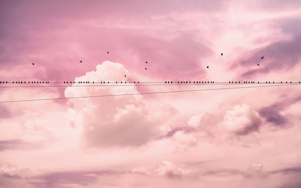 Komar | Vlies Fototapete | Cloud Wire | Größe 400 x 250 cm