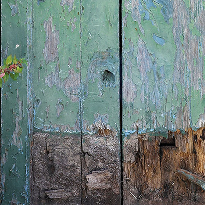 Vlies Fototapete | Gartentür | Größe 100 x 280 cm