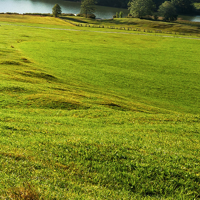 Vlies Fototapete | Bergwiese vor Karwendel | Größe 450 x 280 cm