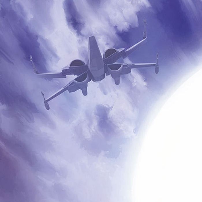 Papier Fototapete | STAR WARS Rey | Größe 184 x 254 cm