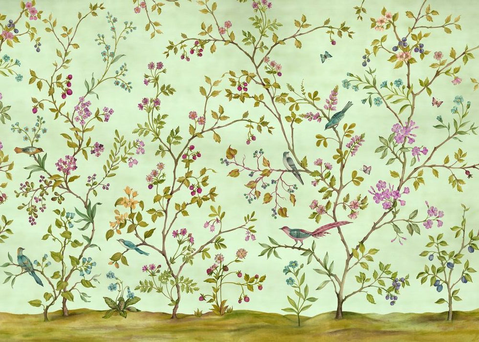 Vlies Fototapete | Oiseaux du Paradis | Größe 350 x 250 cm