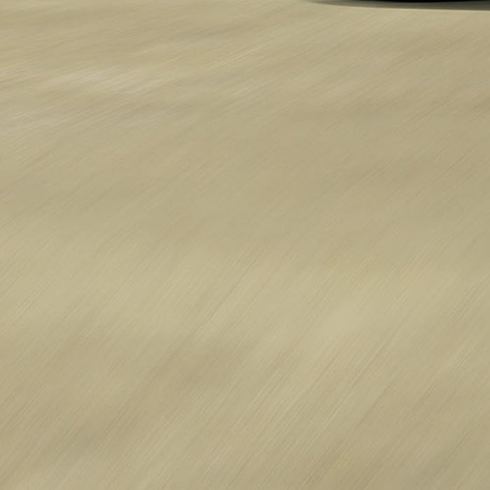 Papier Fototapete | Cars Beach Race | Größe 368 x 254 cm