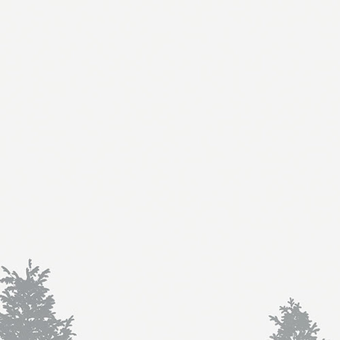 Vlies Fototapete | Nebula  | Größe 350 x 250 cm