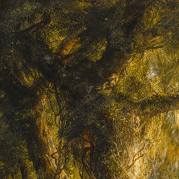Komar | Vlies Fototapete | Rio de Luz  | Größe 400 x 250 cm