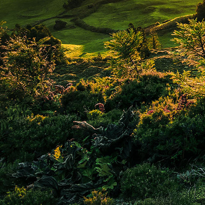 Vlies Fototapete | Paradise Island | Größe 400 x 250 cm