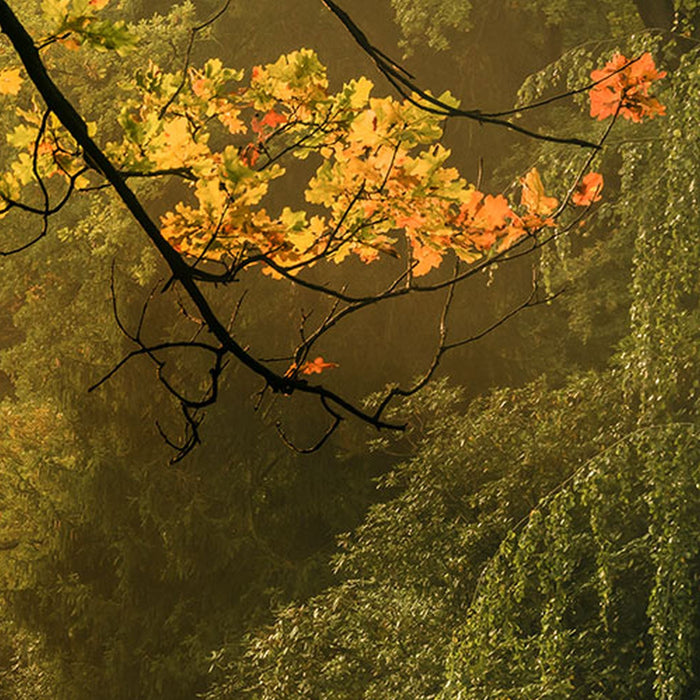 Vlies Fototapete | Devil's Bridge | Größe 400 x 250 cm