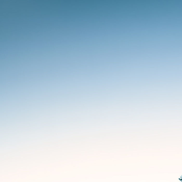 Vlies Fototapete | Beach Tales | Größe 450 x 280 cm