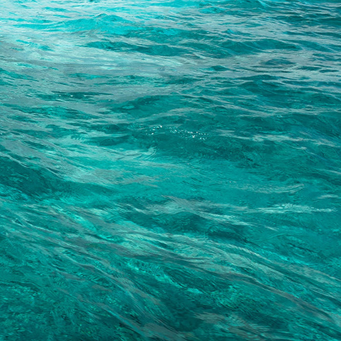 Vlies Fototapete | Schatzinsel | Größe 450 x 280 cm