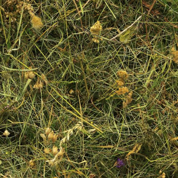 Vlies Fototapete | Bergheu | Größe 150 x 250 cm