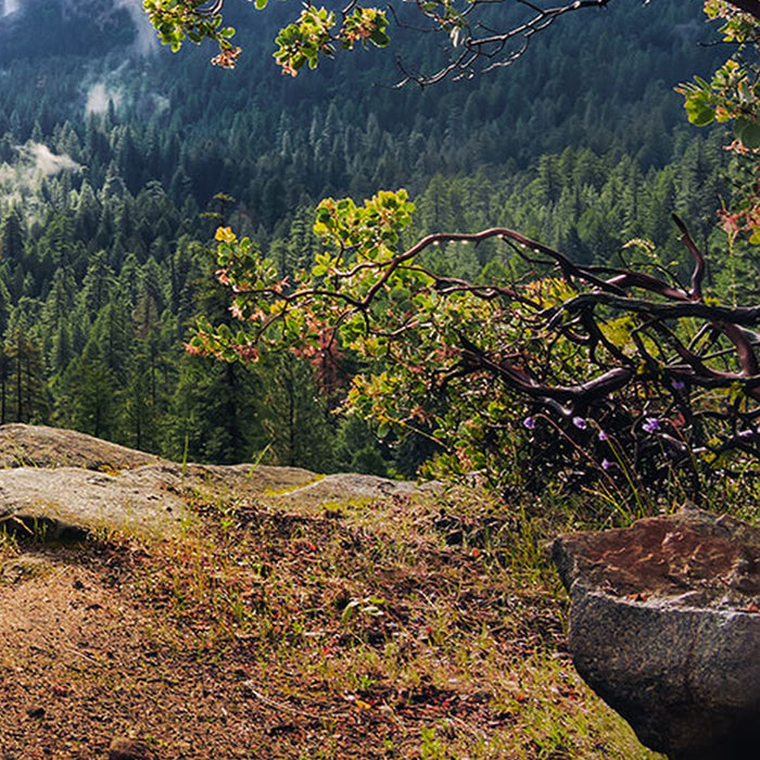 Vlies Fototapete | Unique Paradise | Größe 200 x 100 cm