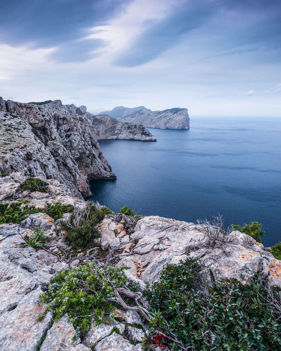 Vlies Fototapete | Bizarre Coast | Größe 200 x 250 cm