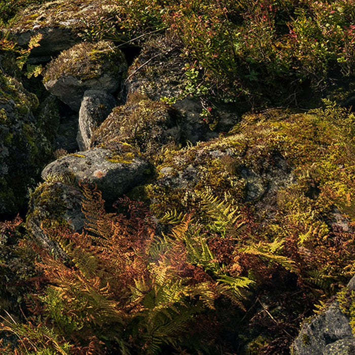 Vlies Fototapete | Pure Norway | Größe 450 x 280 cm