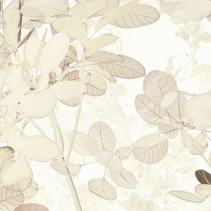 Vlies Fototapete | Sheer | Größe 400 x 250 cm