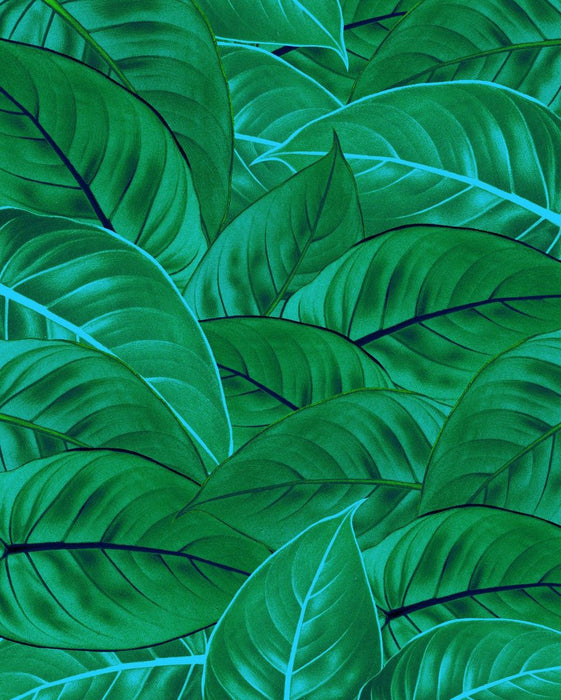 Vlies Fototapete | Jungle Leaves | Größe 200 x 250 cm