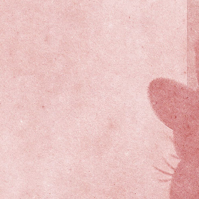 Vlies Fototapete | Minnie Creative Aesthetic | Größe 250 x 280 cm