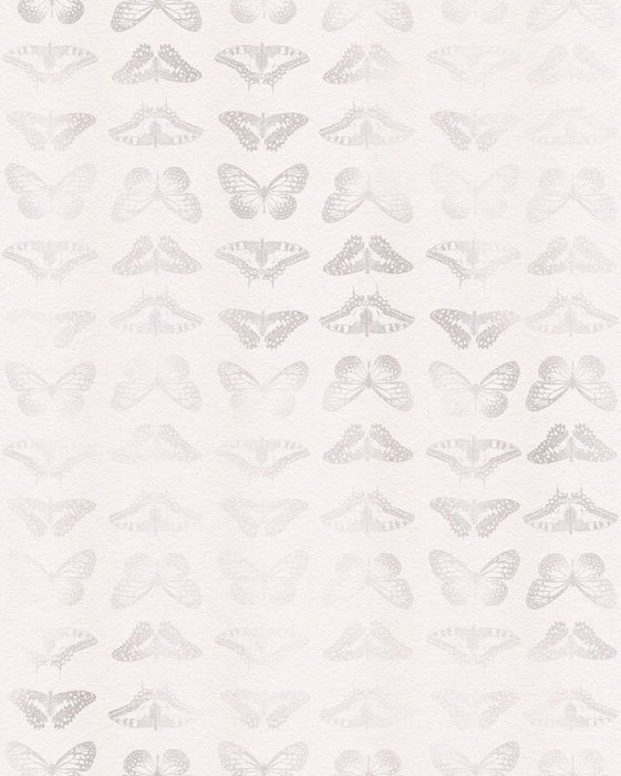 Vlies Fototapete | Mur de Papillons  | Größe 200 x 250 cm