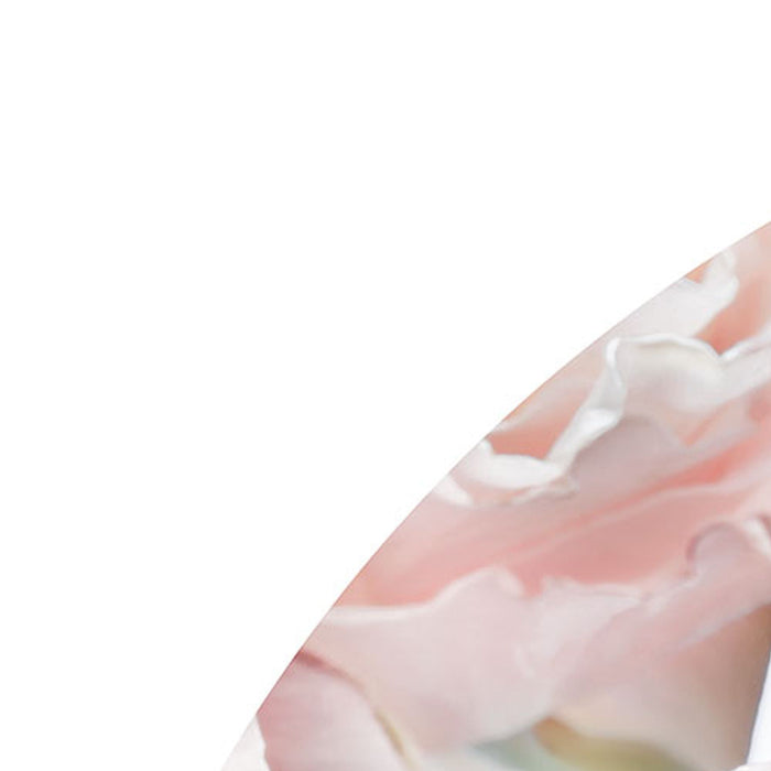 Komar | Selbstklebende Vlies Fototapete/Wandtattoo | Pink and Cream Roses | Größe 125 x 125 cm