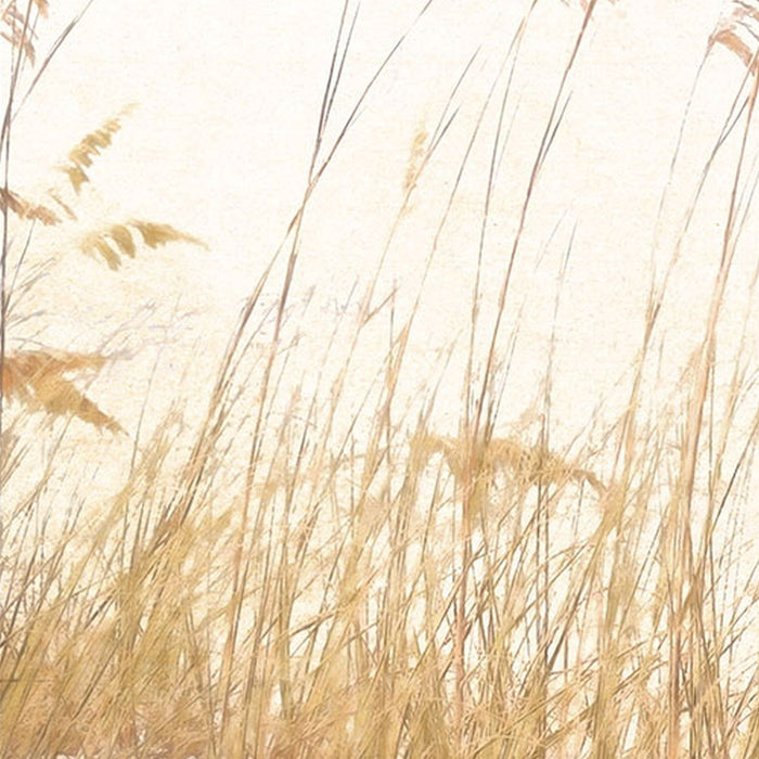 Vlies Fototapete | Dune Grass | Größe 400 x 250 cm