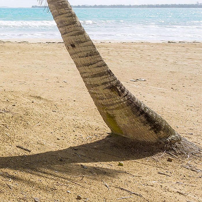 Vlies Fototapete | Caribbean Days II | Größe 450 x 280 cm