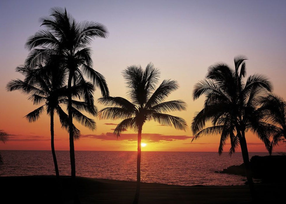 Komar | Fototapete | Hawaii | Größe 368 x 254 cm