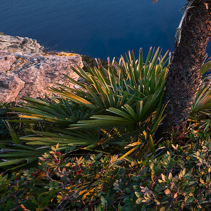 Komar | Vlies Fototapete | Island Paradise | Größe 450 x 280 cm