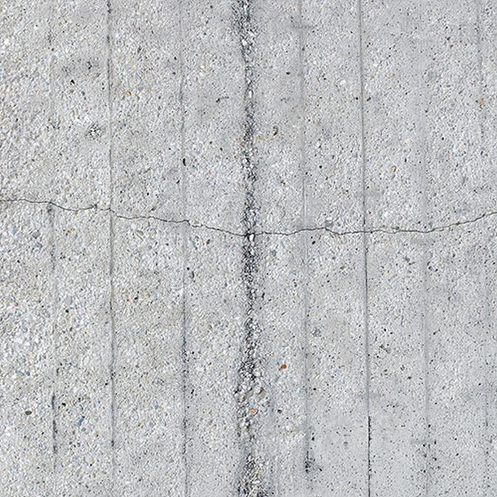 Vlies Fototapete | Betonfeder | Größe 300 x 250 cm