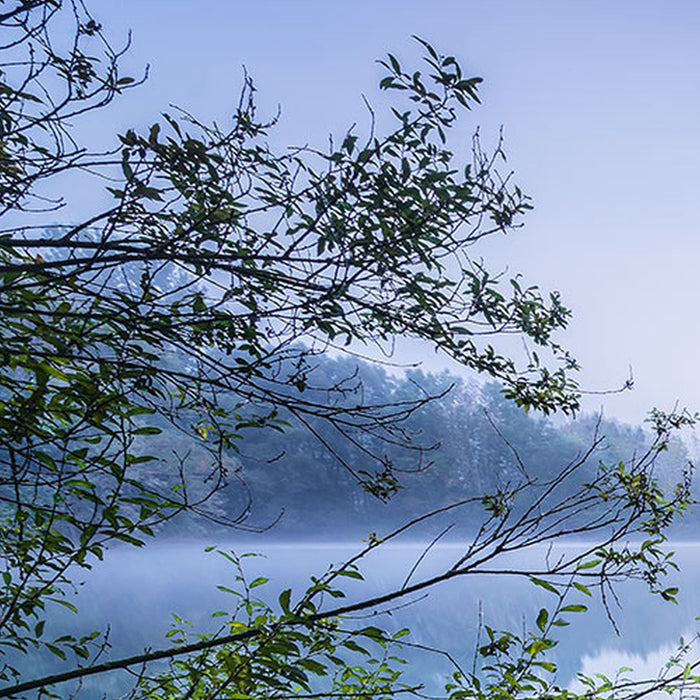 Vlies Fototapete | Morning View | Größe 200 x 100 cm