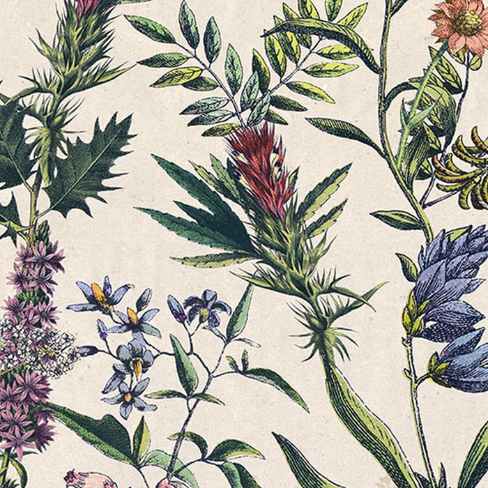 Vlies Fototapete | Flowering Herbs  | Größe 200 x 250 cm