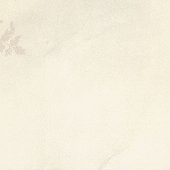 Komar | Vlies Fototapete | Herbarium | Größe 200 x 250 cm