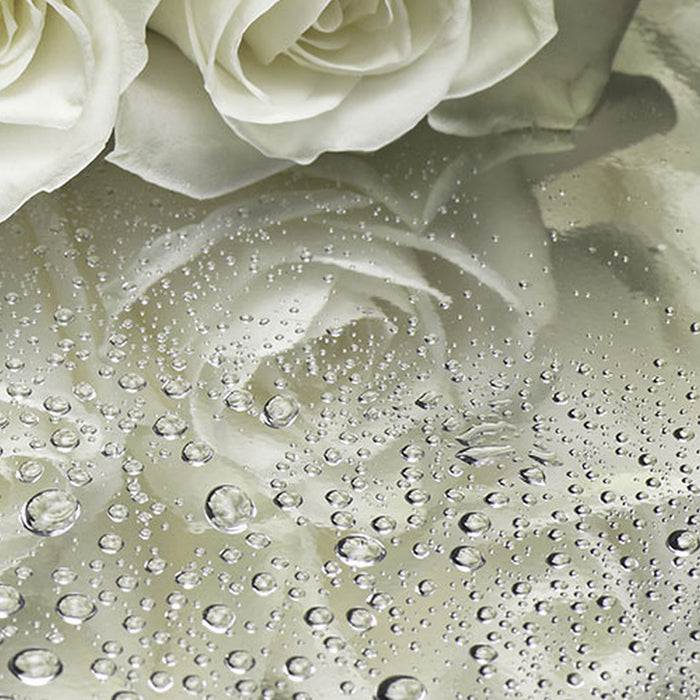 Komar | Fototapete | A La Rose | Größe 368 x 254 cm