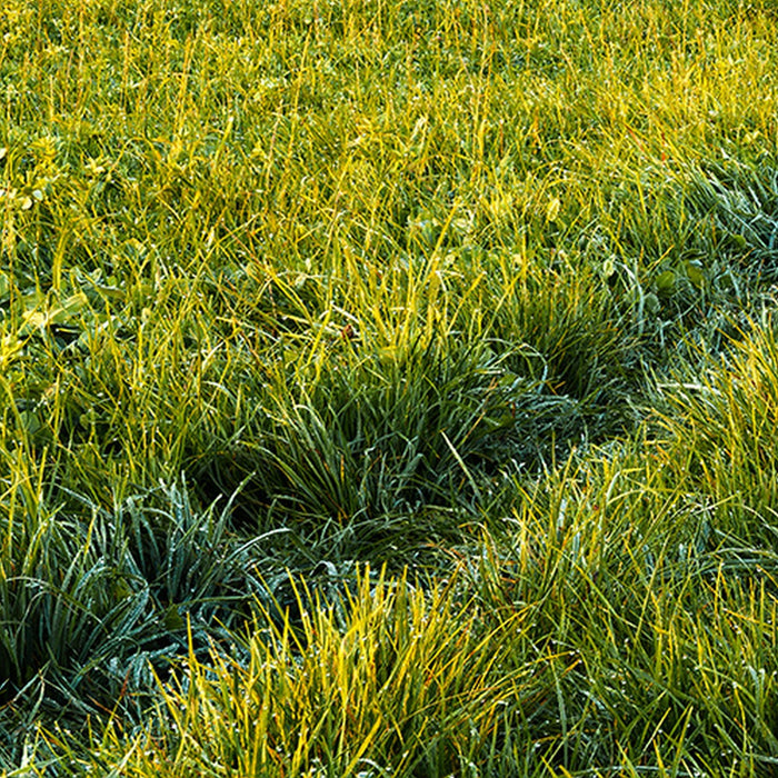 Vlies Fototapete | Himmlisch | Größe 450 x 280 cm