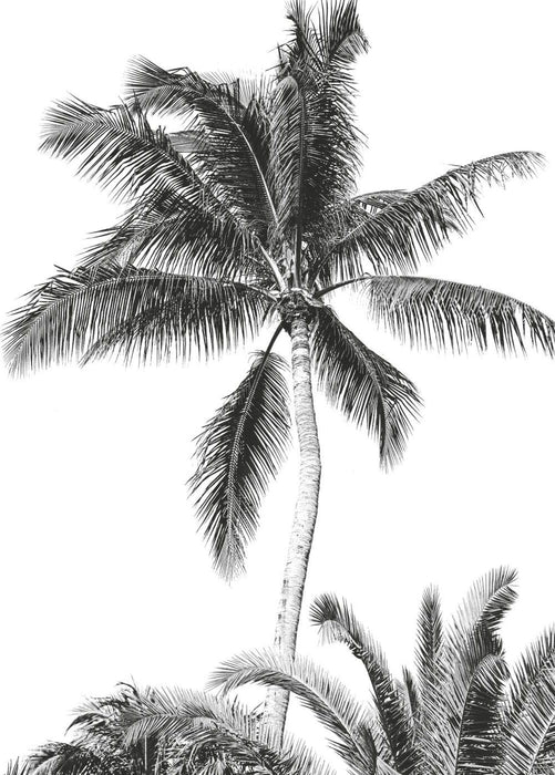 Vlies Fototapete | Retro Palm | Größe 200 x 280 cm