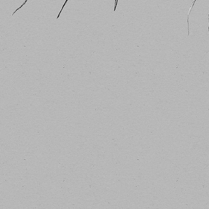 Komar | Vlies Fototapete | Jellyfish Panel | Größe 100 x 250 cm