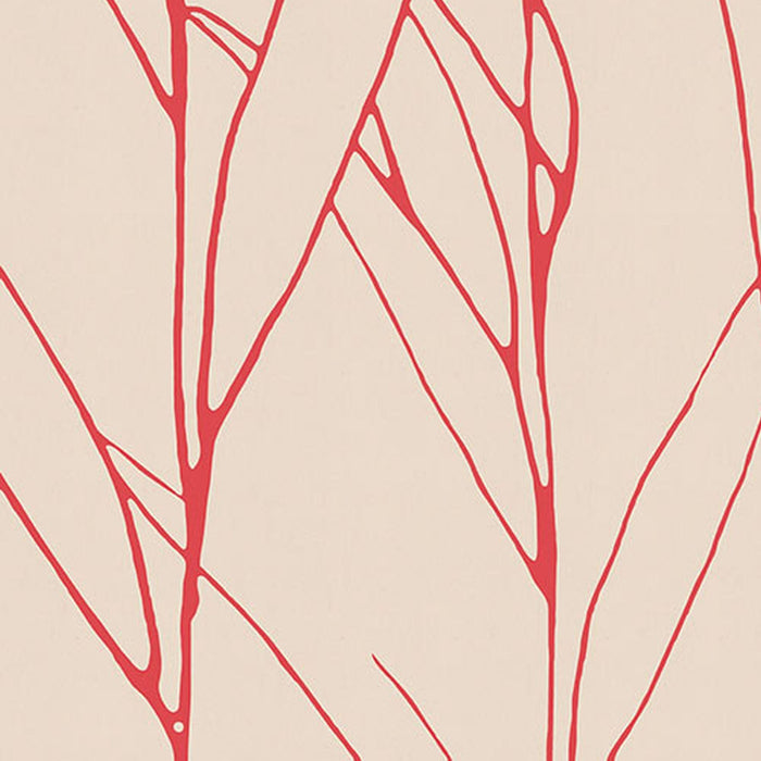 Vlies Fototapete | Plain | Größe 200 x 280 cm