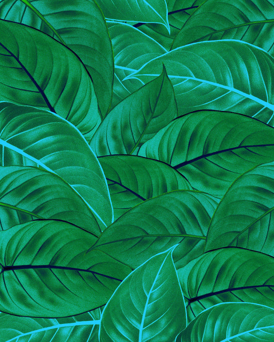 Vlies Fototapete | Jungle Leaves | Größe 200 x 250 cm