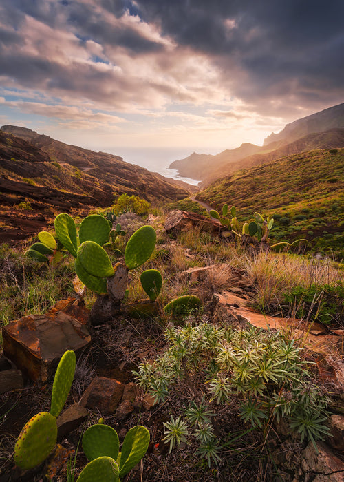 Vlies Fototapete | Warmes Licht | Größe 200 x 280 cm