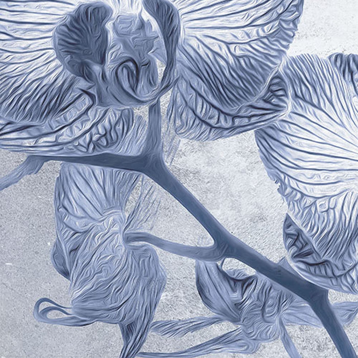 Vlies Fototapete | Orchidée | Größe 200 x 250 cm