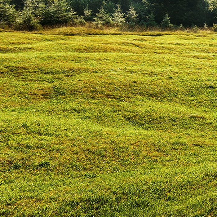 Vlies Fototapete | Bergwiese vor Karwendel | Größe 450 x 280 cm