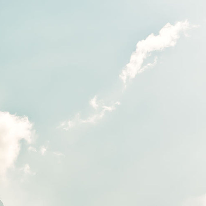 Vlies Fototapete | The Summit | Größe 300 x 200 cm