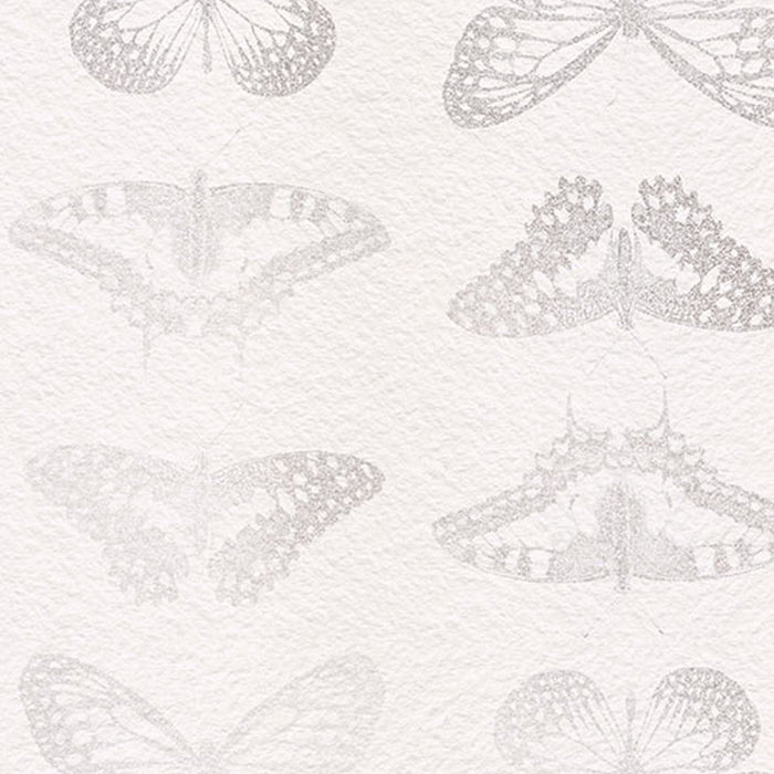 Vlies Fototapete | Mur de Papillons  | Größe 200 x 250 cm
